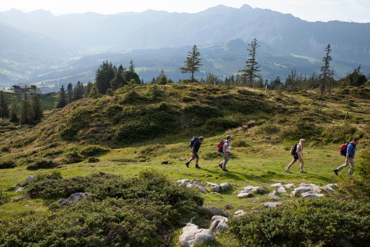 Bergwelten Salwideli * Sorenberg