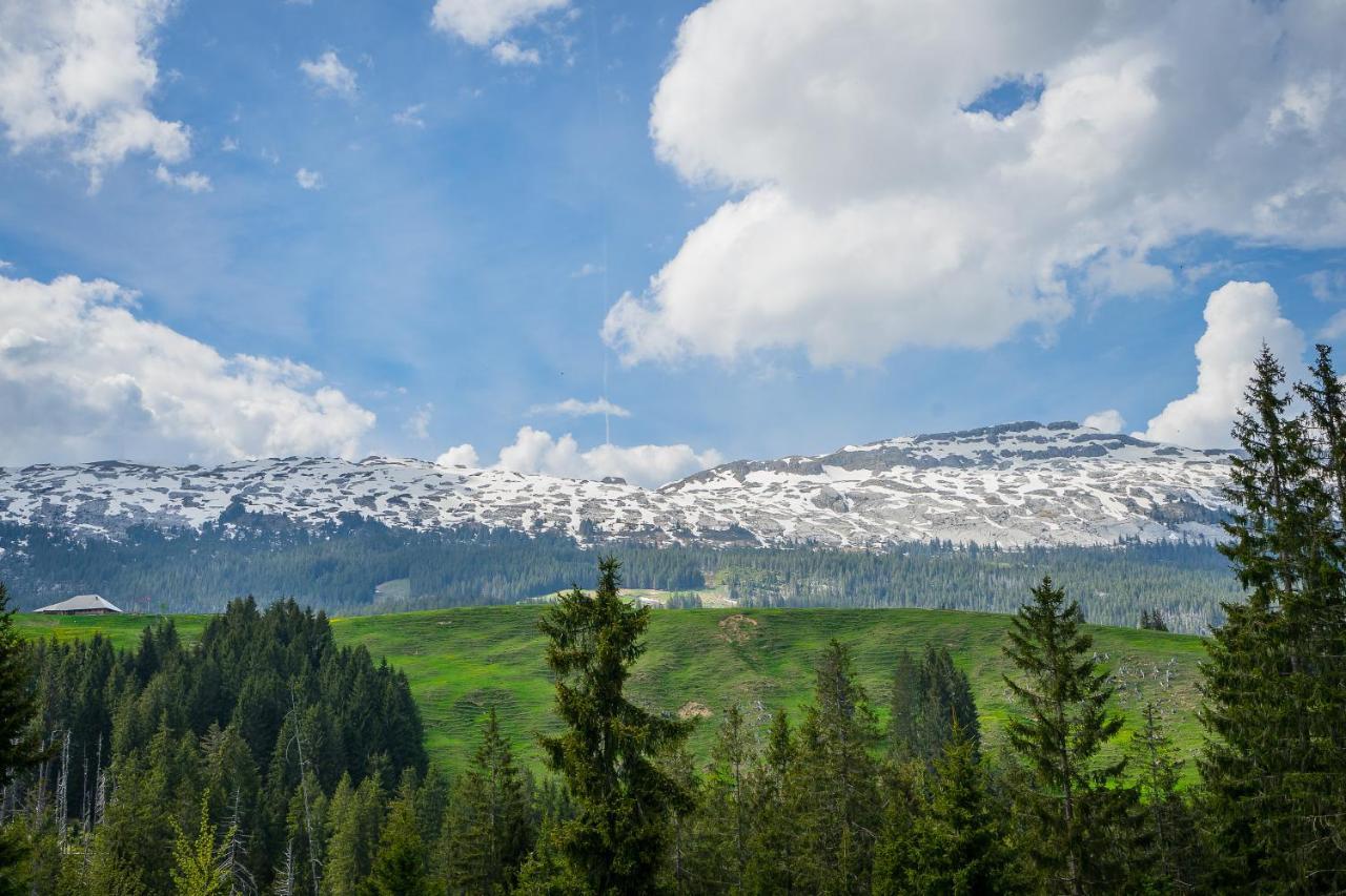 Bergwelten Salwideli * Sorenberg